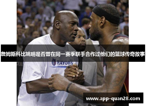 詹姆斯科比姚明是否曾在同一赛季联手合作过他们的篮球传奇故事