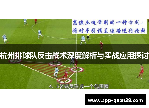 杭州排球队反击战术深度解析与实战应用探讨