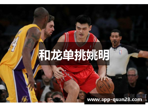 和龙单挑姚明