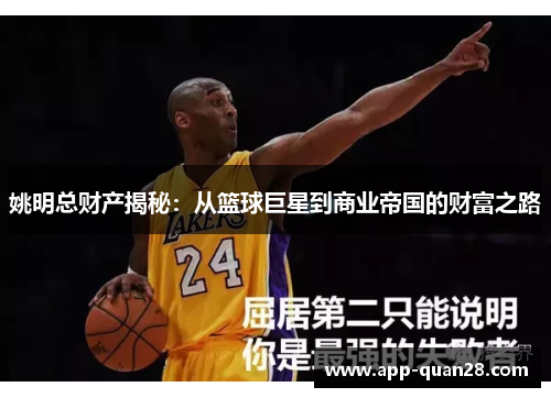 姚明总财产揭秘：从篮球巨星到商业帝国的财富之路