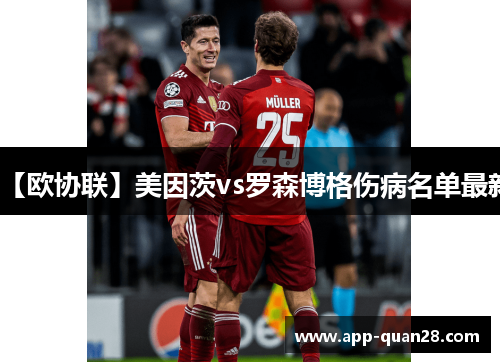 【欧协联】美因茨vs罗森博格伤病名单最新